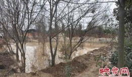 古隆中酒厂爆料事件视频,揭秘白酒生产背后的秘密